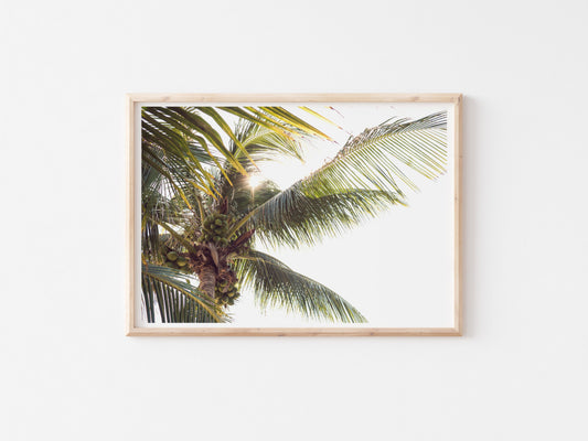 Palm Tree Print - Golden Hour