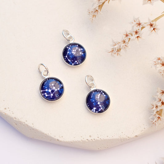 Sterling Silver Zodiac Charm