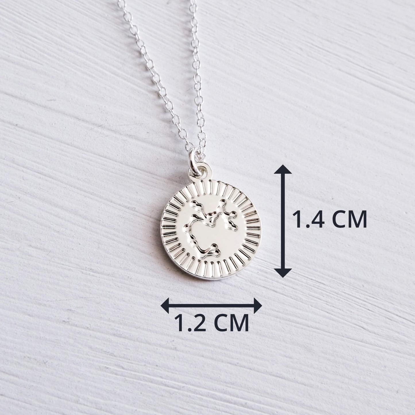 Zodiac Star Sign Necklace