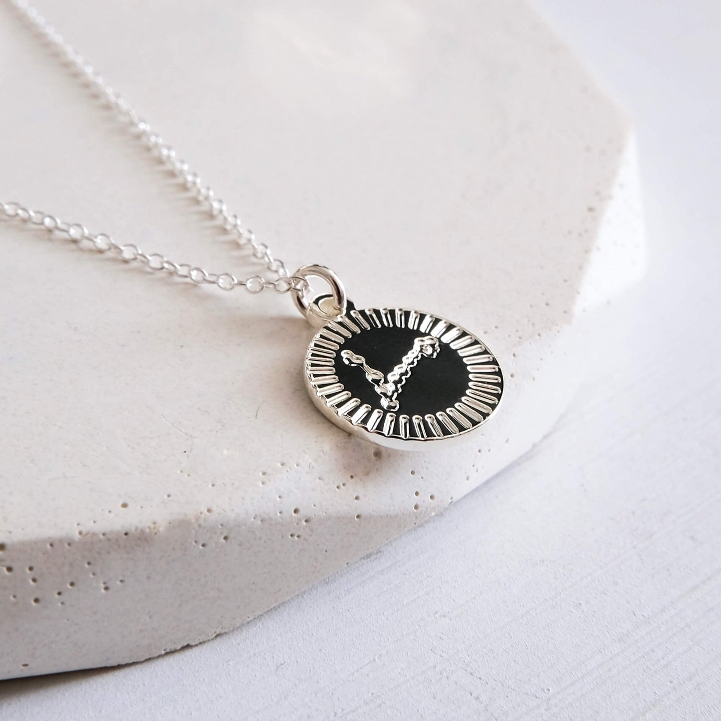 Zodiac Star Sign Necklace