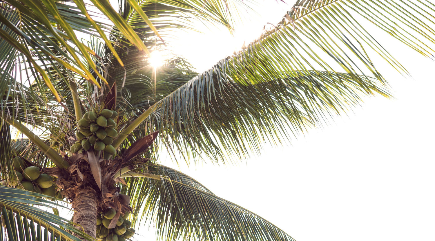 Travel and Ocean Inspired Wall Art