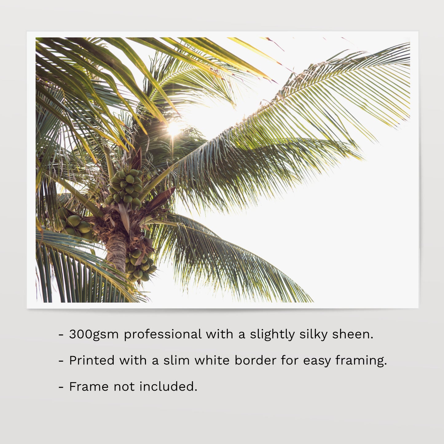 Palm Tree Print - Golden Hour