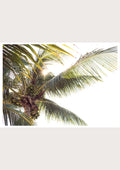 Palm Tree Print - Golden Hour